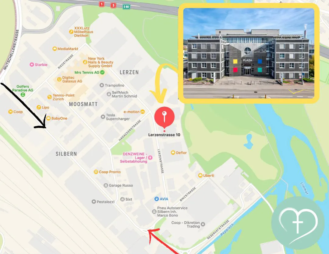 Plan der Umgebung Lerzenstrasse 10 in Dietikon mit Zufahrt und Gebäude